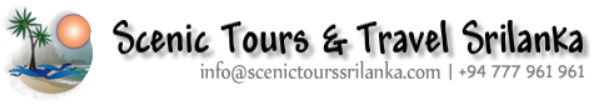 scenic tours founder